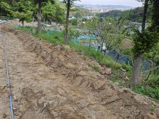 신지연님의 자유주제 · 자유게시판 작성글 사진