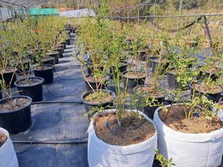 이수명님의 자유주제 · 자유게시판 작성글 사진