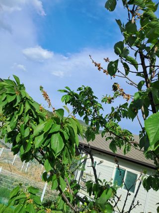 표고버섯18837님의 자유주제 · 자유게시판 작성글 사진