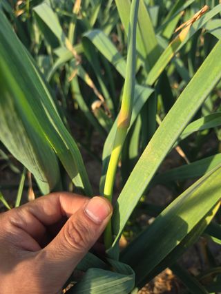 김태혁님의 자유주제 · 자유게시판 작성글 사진