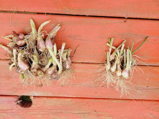 한경훈님의 자유주제 · 자유게시판 작성글 사진