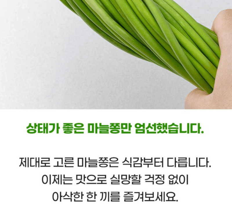 스피드번님의 장터 판매 상품 [2026 국내산 햇마늘쫑] 첨부 사진