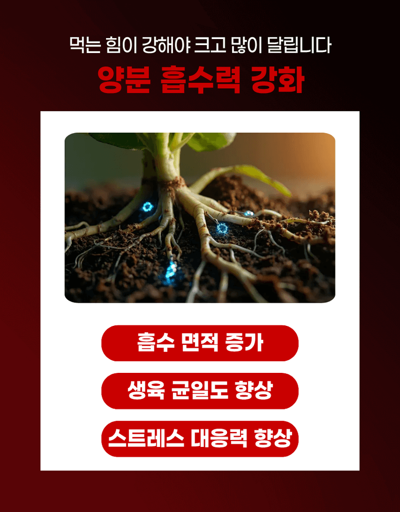 농업마켓365님의 장터 판매 상품 [고추뿌리케어 2KG/10KG 발근강화제 토양개량제 뿌리발근제 활착촉진] 첨부 사진