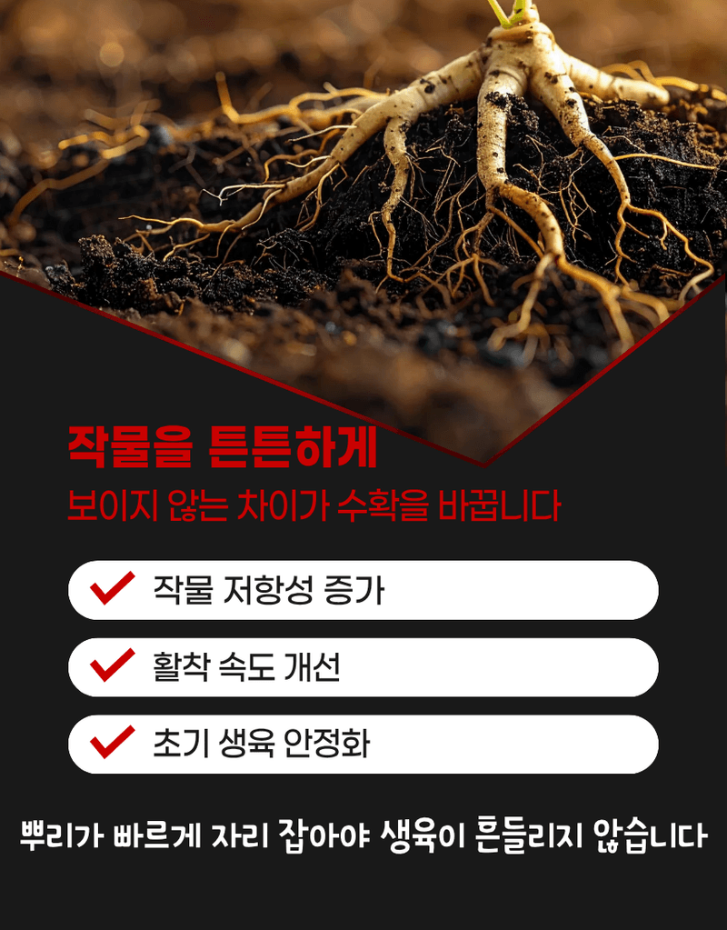농업마켓365님의 장터 판매 상품 [고추뿌리케어 2KG/10KG 발근강화제 토양개량제 뿌리발근제 활착촉진] 첨부 사진