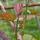 고동농장님의 자유주제·자유게시판 작성글 사진