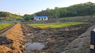 이우섭님의 자유주제 · 자유게시판 작성글 사진