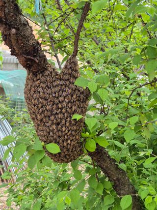 갈담리님의 자유주제·자유게시판 작성글 사진