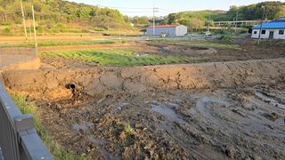 이우섭님의 자유주제 · 자유게시판 작성글 사진
