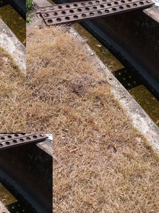 피롤땅지기님의 자유주제 · 자유게시판 작성글 사진