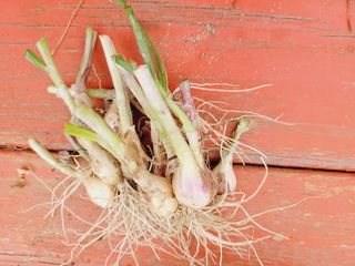 한경훈님의 자유주제 · 자유게시판 작성글 사진