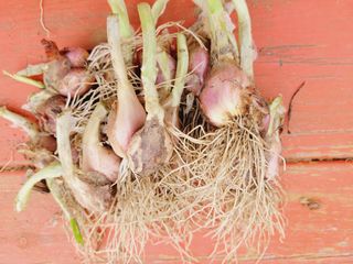 한경훈님의 자유주제 · 자유게시판 작성글 사진