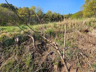 김용규님의 자유주제 · 건의해요 작성글 사진