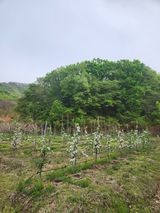 행복농원님의 자유주제·자유게시판 작성글 사진