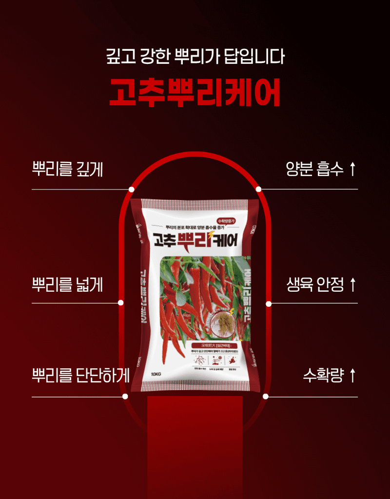 농업마켓365님의 장터 판매 상품 [고추뿌리케어 2KG/10KG 발근강화제 토양개량제 뿌리발근제 활착촉진] 첨부 사진