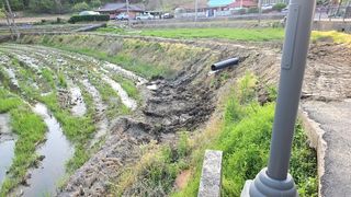 이우섭님의 자유주제 · 자유게시판 작성글 사진