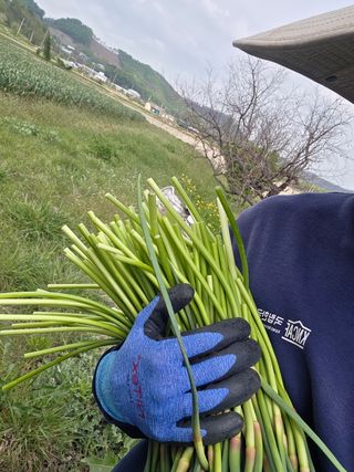 김태혁님의 자유주제 · 자유게시판 작성글 사진