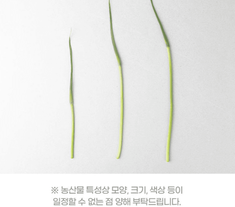스피드번님의 장터 판매 상품 [2026 국내산 햇마늘쫑] 첨부 사진