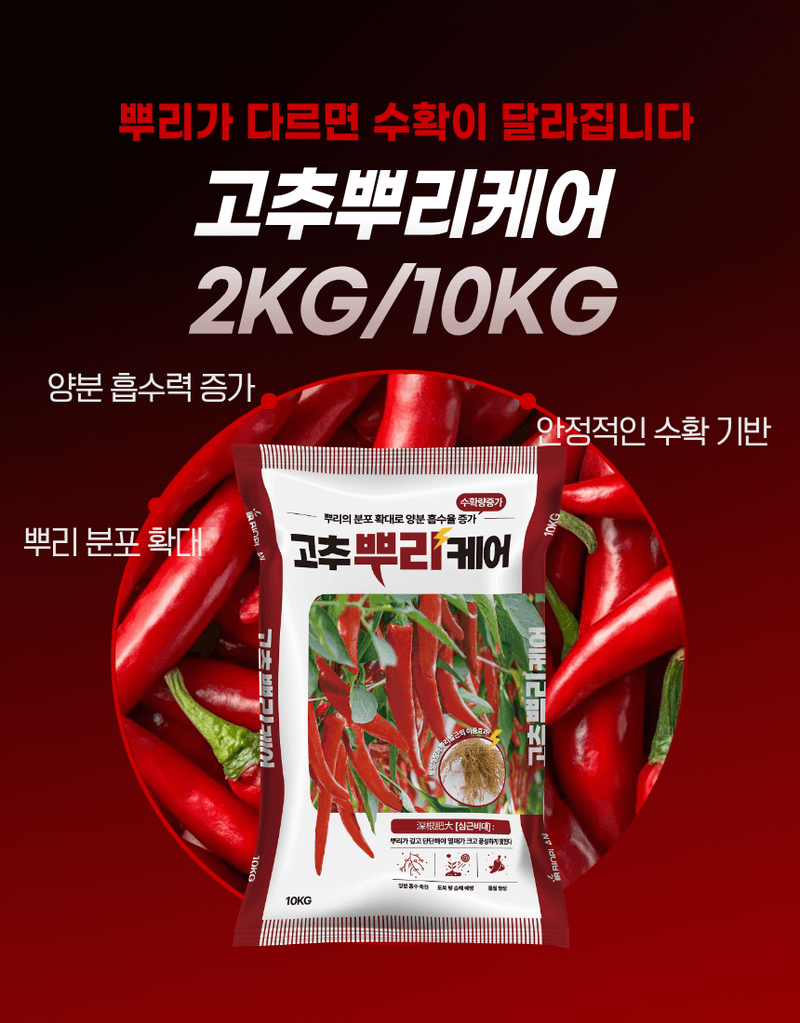 농업마켓365님의 장터 판매 상품 [고추뿌리케어 2KG/10KG 발근강화제 토양개량제 뿌리발근제 활착촉진] 첨부 사진