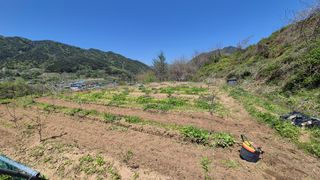 이애숙님의 자유주제 · 자유게시판 작성글 사진
