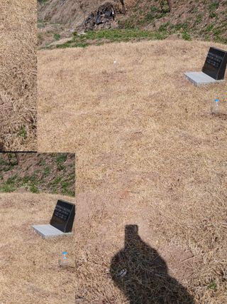 피롤땅지기님의 자유주제 · 자유게시판 작성글 사진