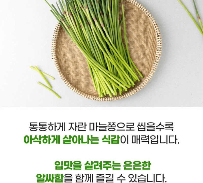 스피드번님의 장터 판매 상품 [2026 국내산 햇마늘쫑] 첨부 사진
