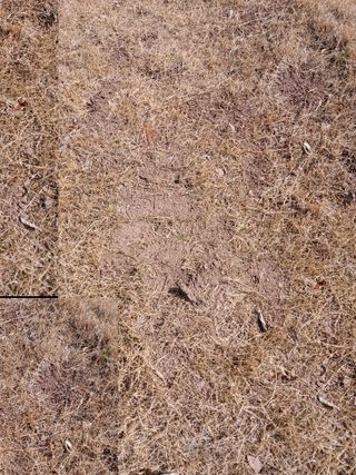 피롤땅지기님의 자유주제 · 자유게시판 작성글 사진