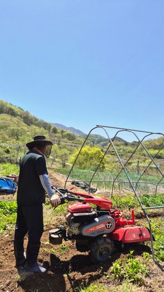 이애숙님의 자유주제·자유게시판 작성글 사진