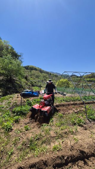 이애숙님의 자유주제 · 자유게시판 작성글 사진