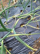 챨리님의 자유주제·자유게시판 작성글 사진