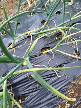 챨리님의 자유주제 · 자유게시판 작성글 사진