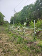 행복농원님의 자유주제·자유게시판 작성글 사진