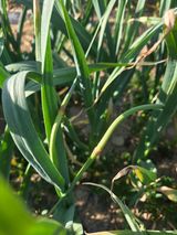 김태혁님의 자유주제·자유게시판 작성글 사진