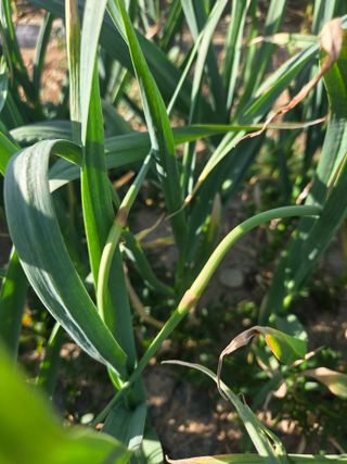 김태혁님의 자유주제 · 자유게시판 작성글 사진