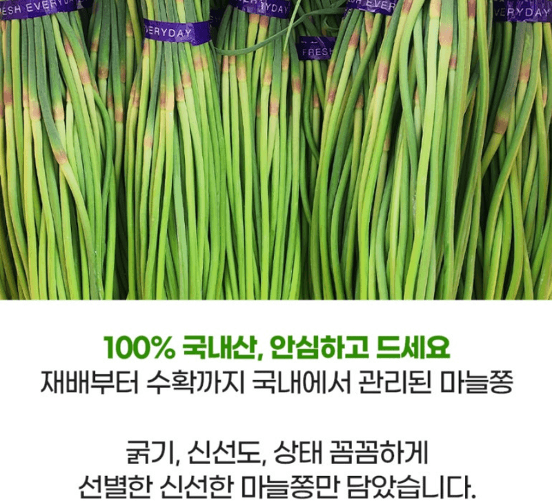 스피드번님의 장터 판매 상품 [2026 국내산 햇마늘쫑] 첨부 사진