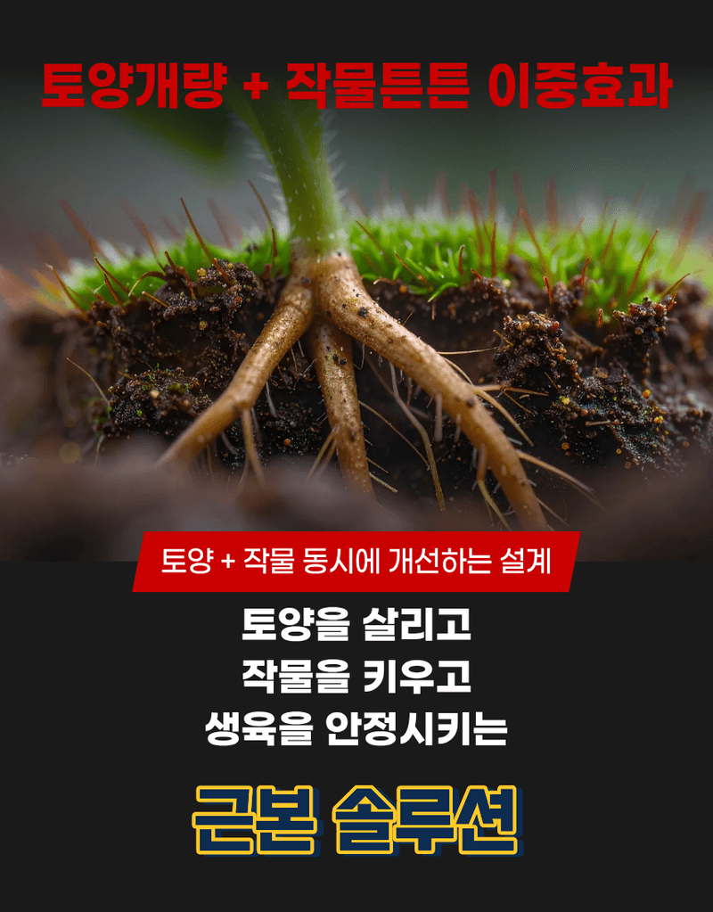 농업마켓365님의 장터 판매 상품 [고추뿌리케어 2KG/10KG 발근강화제 토양개량제 뿌리발근제 활착촉진] 첨부 사진