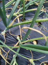 챨리님의 자유주제·자유게시판 작성글 사진