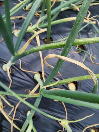 챨리님의 자유주제 · 자유게시판 작성글 사진