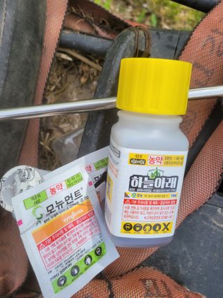 신관영님의 자유주제·자유게시판 작성글 사진