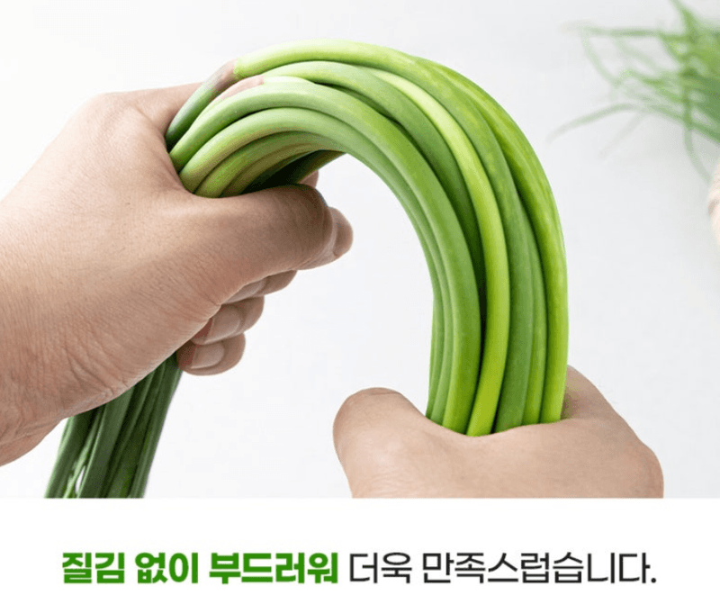 스피드번님의 장터 판매 상품 [2026 국내산 햇마늘쫑] 첨부 사진