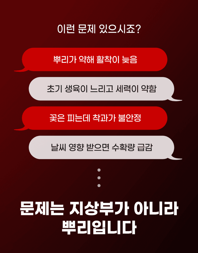 농업마켓365님의 장터 판매 상품 [고추뿌리케어 2KG/10KG 발근강화제 토양개량제 뿌리발근제 활착촉진] 첨부 사진