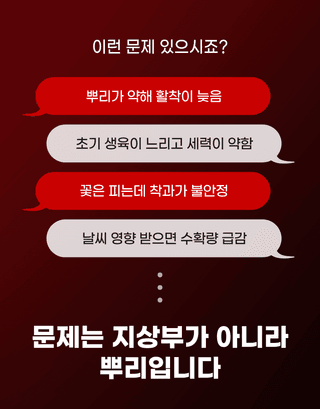 농업마켓365님의 작성글 사진