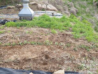 이유영님의 자유주제 · 자유게시판 작성글 사진