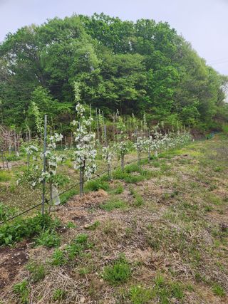 행복농원님의 자유주제 · 자유게시판 작성글 사진