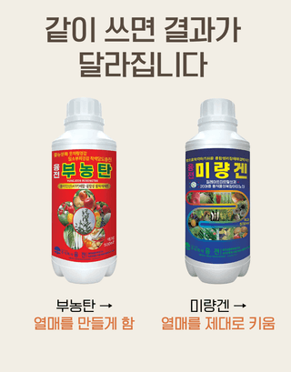 농업마켓365님의 작성글 사진