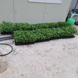 오영도님의 자유주제·자유게시판 작성글 사진