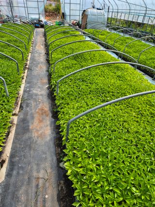 김영진(전남영광)님의 자유주제 · 자유게시판 작성글 사진