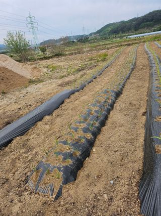 윤재하님의 자유주제 · 자유게시판 작성글 사진