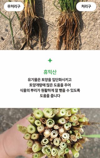 농업마켓365님의 작성글 사진