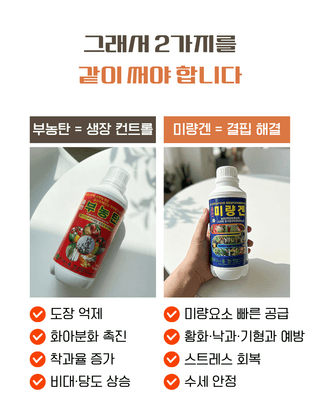 농업마켓365님의 작성글 사진