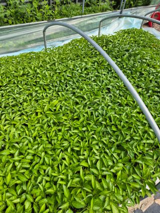 김영진(전남영광)님의 자유주제 · 자유게시판 작성글 사진